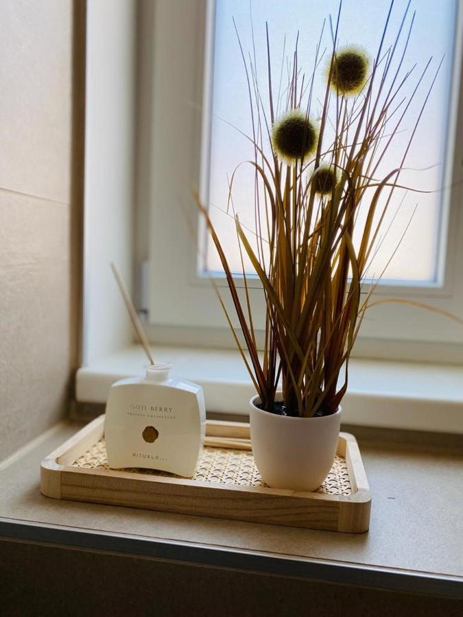 Vinestia Cityloft Storchenblick, Non-Serviced Appartement Λάιμπνιτς Εξωτερικό φωτογραφία