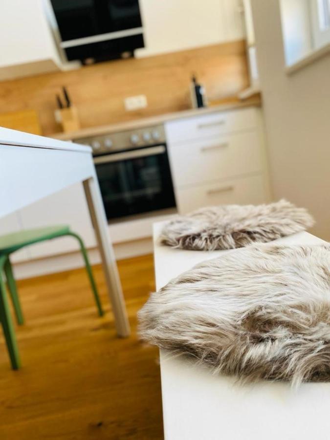 Vinestia Cityloft Storchenblick, Non-Serviced Appartement Λάιμπνιτς Εξωτερικό φωτογραφία